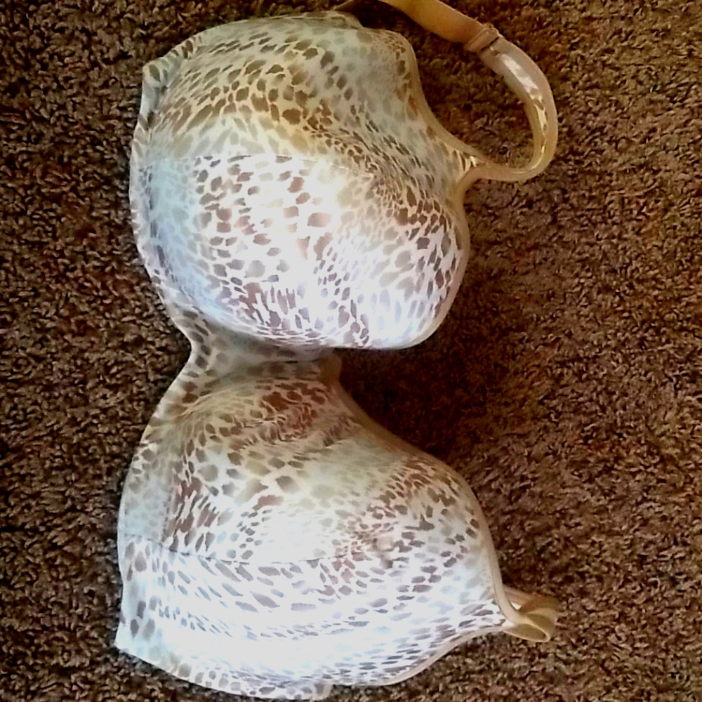 Cacique bra
